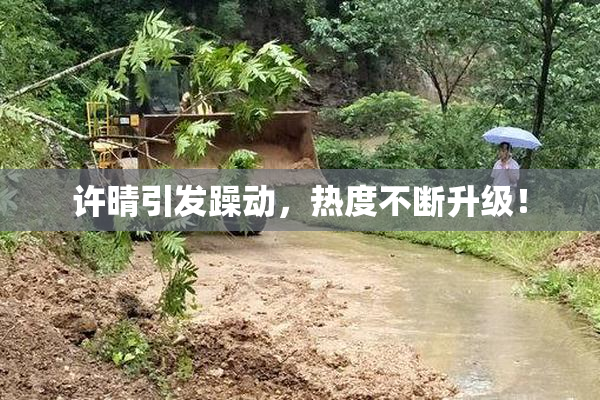 许晴引发躁动，热度不断升级！