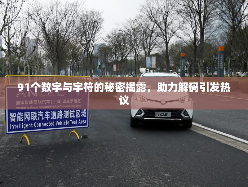 91个数字与字符的秘密揭露，助力解码引发热议