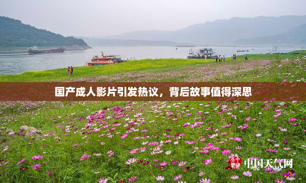 国产成人影片引发热议，背后故事值得深思