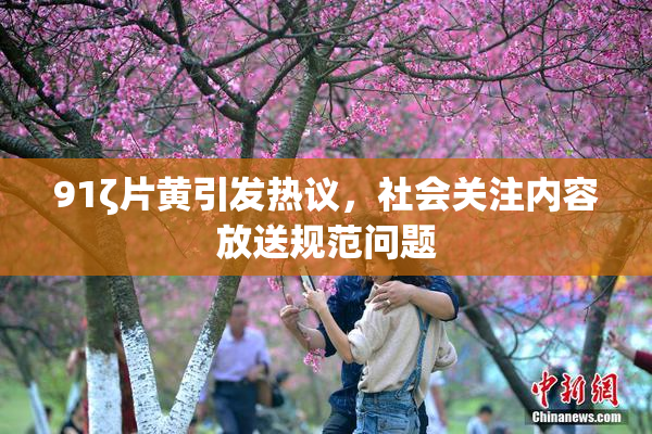 91ζ片黄引发热议，社会关注内容放送规范问题
