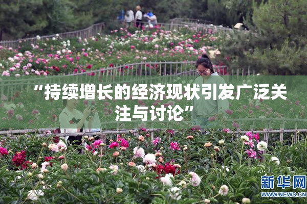 “持续增长的经济现状引发广泛关注与讨论”