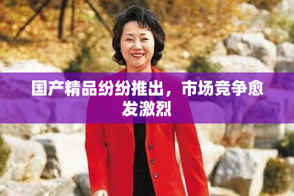 国产精品纷纷推出，市场竞争愈发激烈