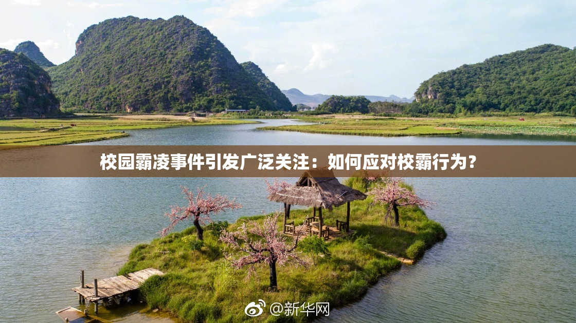 校园霸凌事件引发广泛关注：如何应对校霸行为？