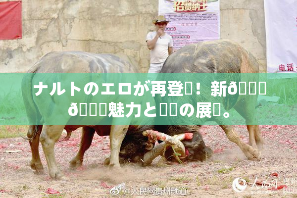 ナルトのエロが再登場！新👅🍑魅力と話題の展開。