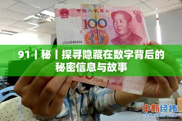 91丨秘丨探寻隐藏在数字背后的秘密信息与故事