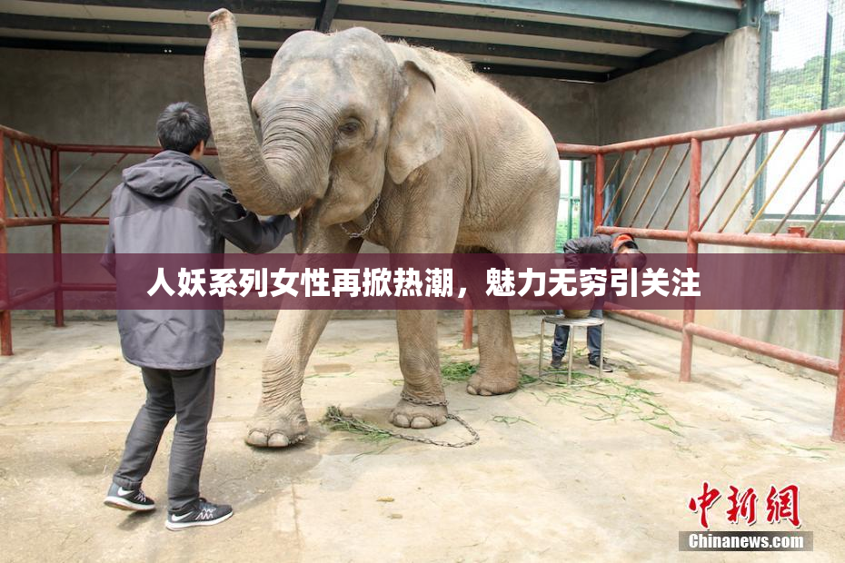 人妖系列女性再掀热潮，魅力无穷引关注