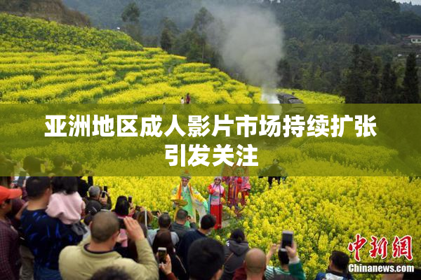 亚洲地区成人影片市场持续扩张引发关注