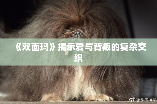 《双面玛》揭示爱与背叛的复杂交织