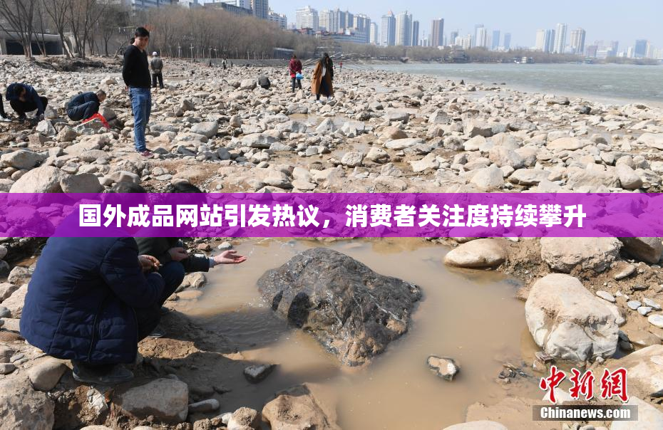 国外成品网站引发热议，消费者关注度持续攀升