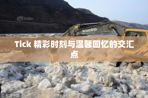 Tick 精彩时刻与温馨回忆的交汇点