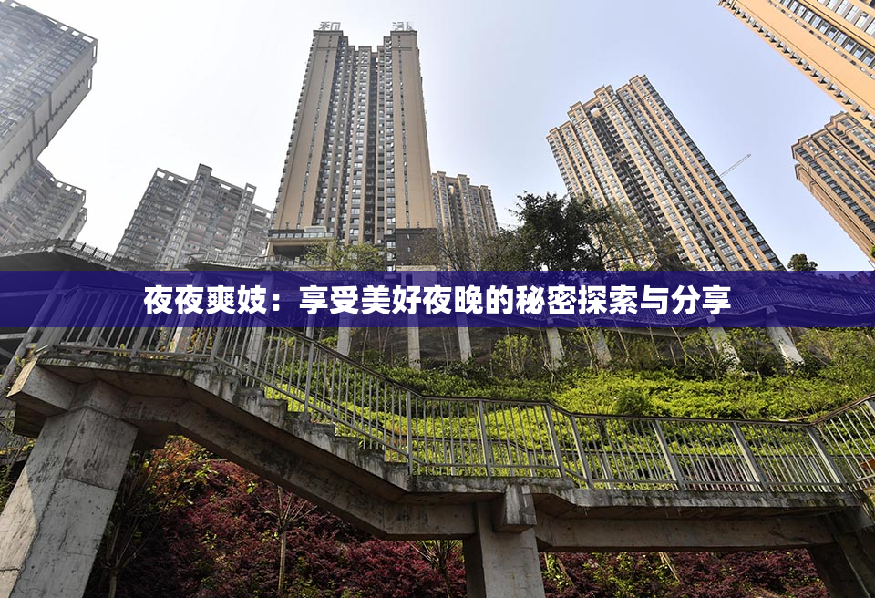 夜夜爽妓：享受美好夜晚的秘密探索与分享