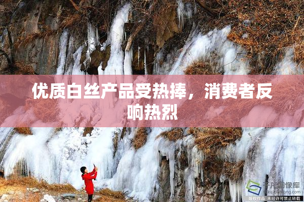 优质白丝产品受热捧，消费者反响热烈