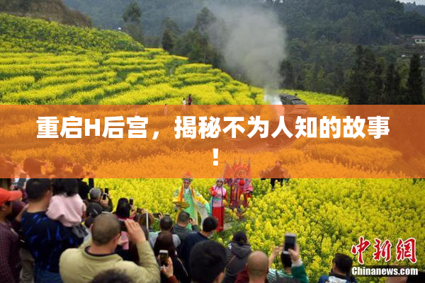重启H后宫，揭秘不为人知的故事！