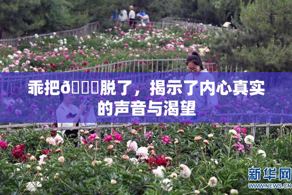 乖把👙脱了，揭示了内心真实的声音与渴望