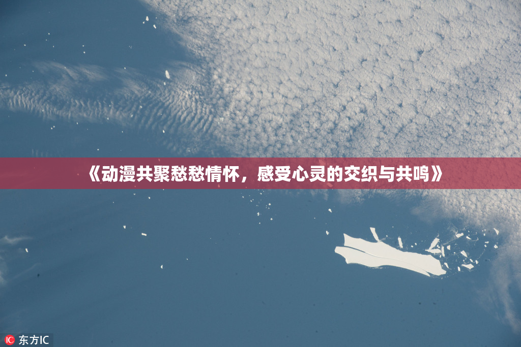 《动漫共聚愁愁情怀，感受心灵的交织与共鸣》