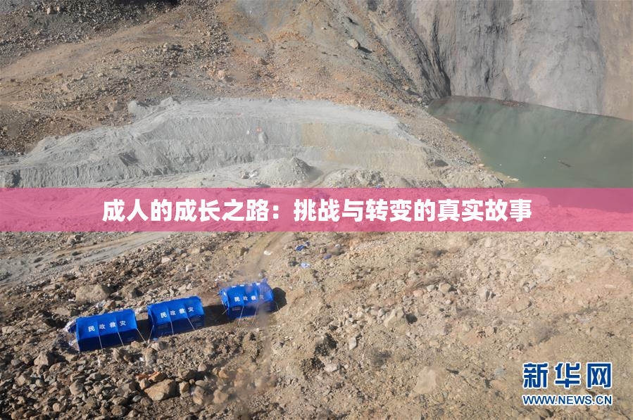 成人的成长之路：挑战与转变的真实故事