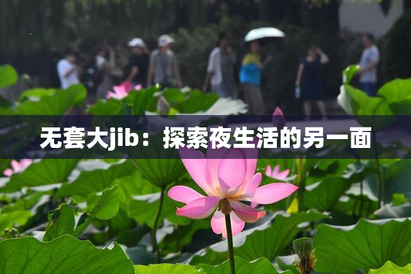 无套大jib：探索夜生活的另一面