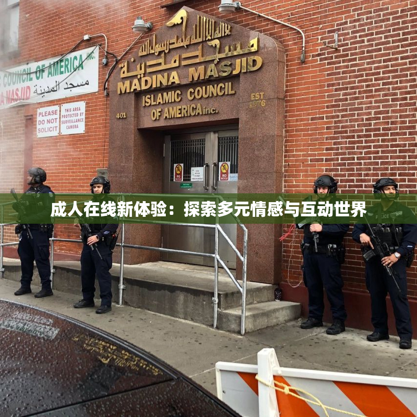 成人在线新体验：探索多元情感与互动世界