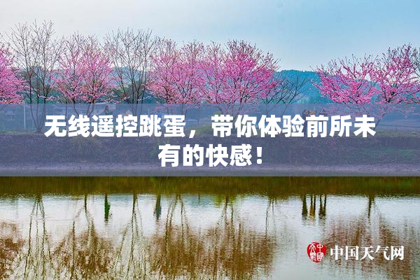 无线遥控跳蛋，带你体验前所未有的快感！