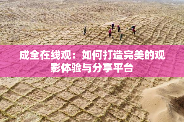 成全在线观：如何打造完美的观影体验与分享平台