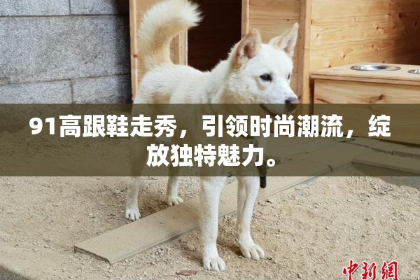 91高跟鞋走秀，引领时尚潮流，绽放独特魅力。