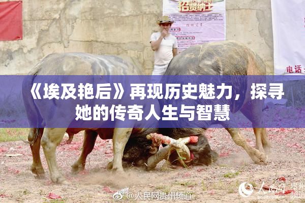 《埃及艳后》再现历史魅力，探寻她的传奇人生与智慧