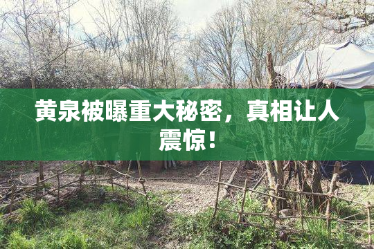 黄泉被曝重大秘密，真相让人震惊！