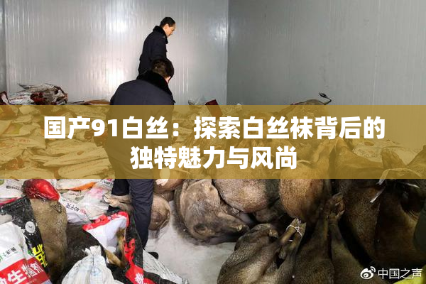 国产91白丝：探索白丝袜背后的独特魅力与风尚