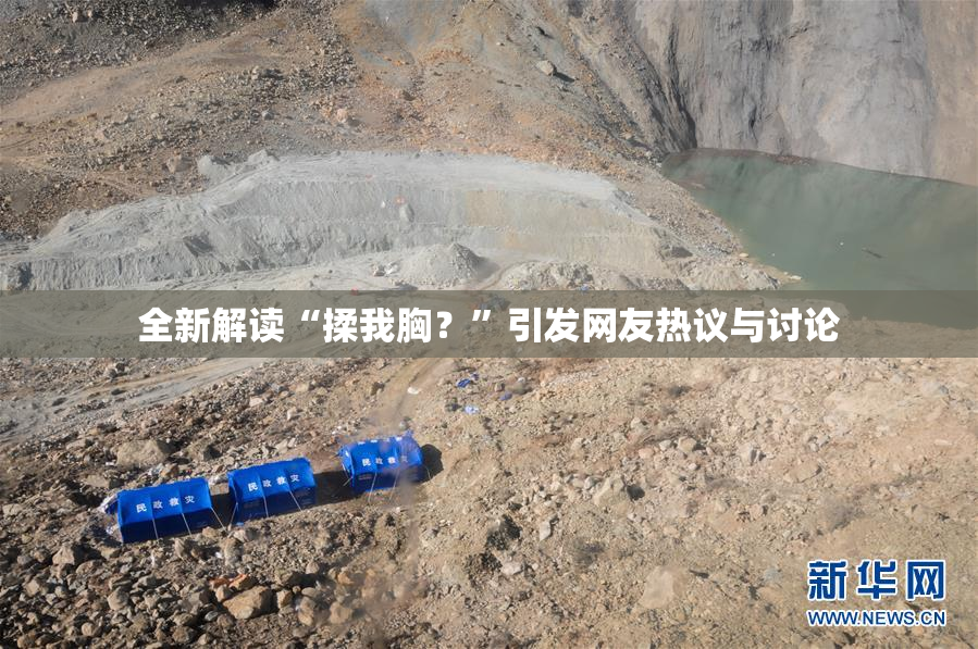 全新解读“揉我胸？”引发网友热议与讨论