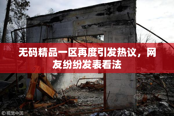 无码精品一区再度引发热议，网友纷纷发表看法