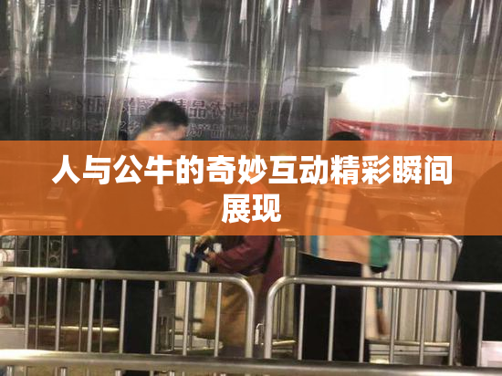 人与公牛的奇妙互动精彩瞬间展现