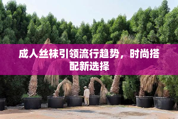 成人丝袜引领流行趋势，时尚搭配新选择