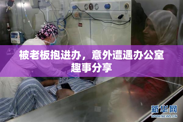 被老板抱进办，意外遭遇办公室趣事分享
