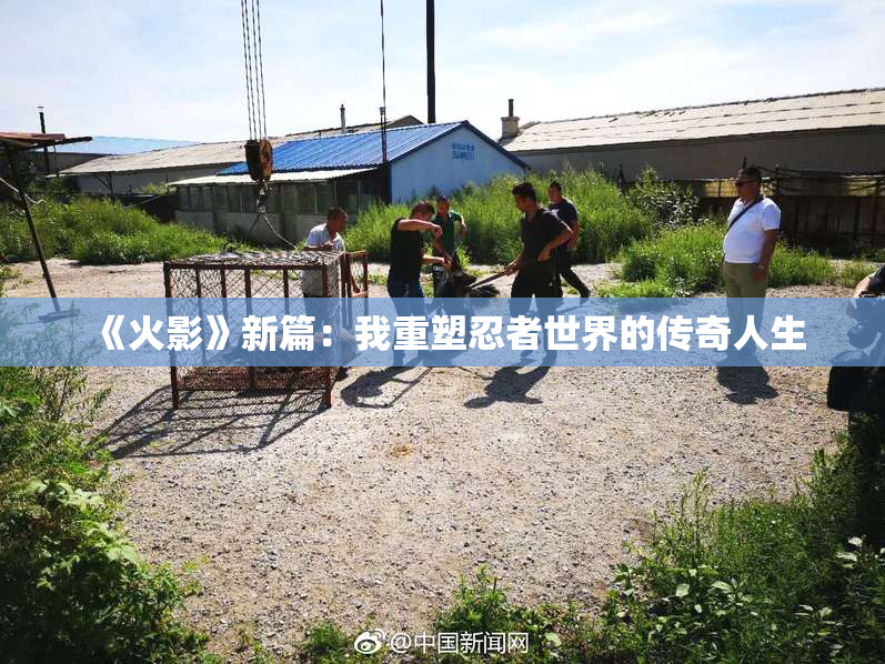 《火影》新篇：我重塑忍者世界的传奇人生