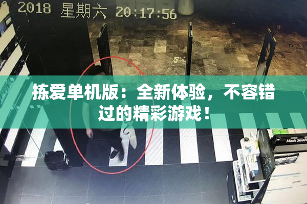 拣爱单机版：全新体验，不容错过的精彩游戏！