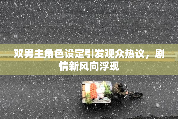 双男主角色设定引发观众热议，剧情新风向浮现