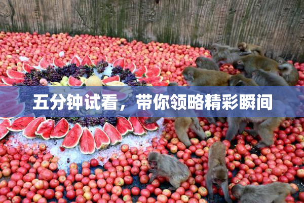五分钟试看，带你领略精彩瞬间