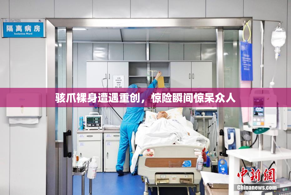 骇爪裸身遭遇重创，惊险瞬间惊呆众人