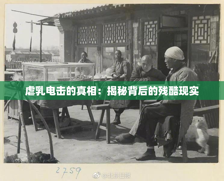虐乳电击的真相：揭秘背后的残酷现实