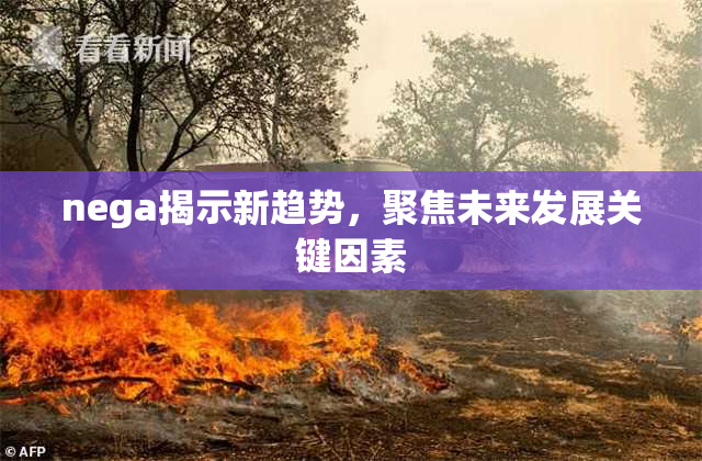 nega揭示新趋势，聚焦未来发展关键因素