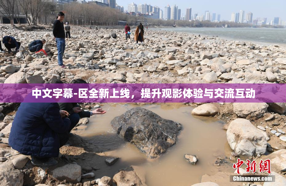 中文字幕-区全新上线，提升观影体验与交流互动