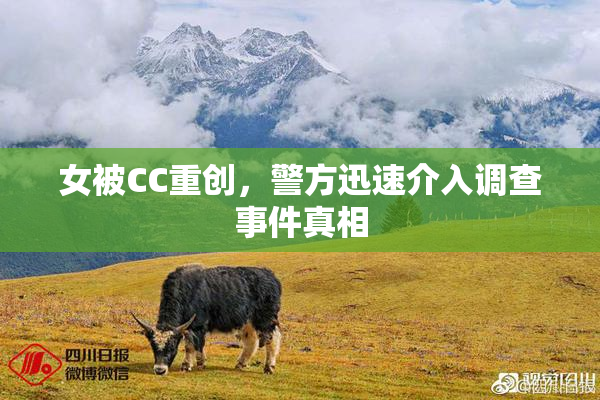 女被CC重创，警方迅速介入调查事件真相