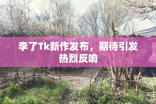 李了Tk新作发布，期待引发热烈反响