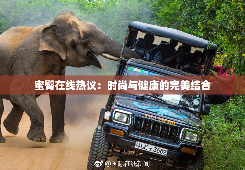 蜜臀在线热议：时尚与健康的完美结合