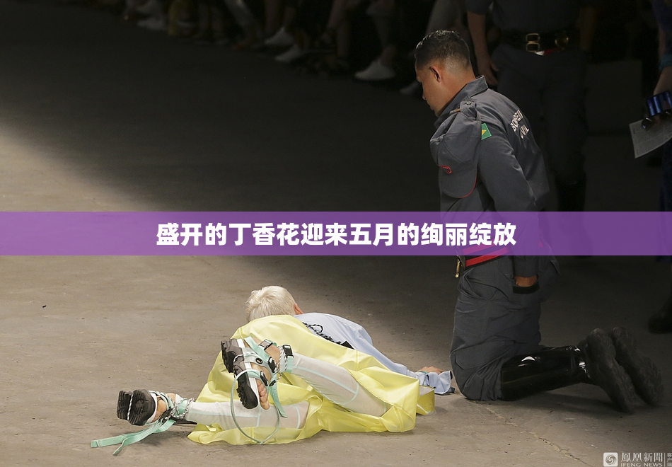 盛开的丁香花迎来五月的绚丽绽放
