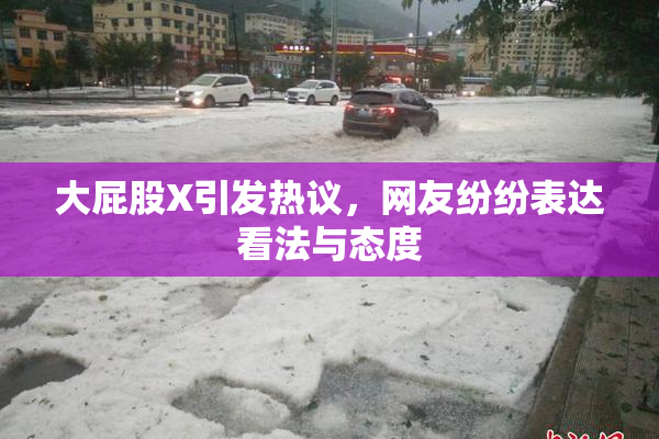 大屁股X引发热议，网友纷纷表达看法与态度