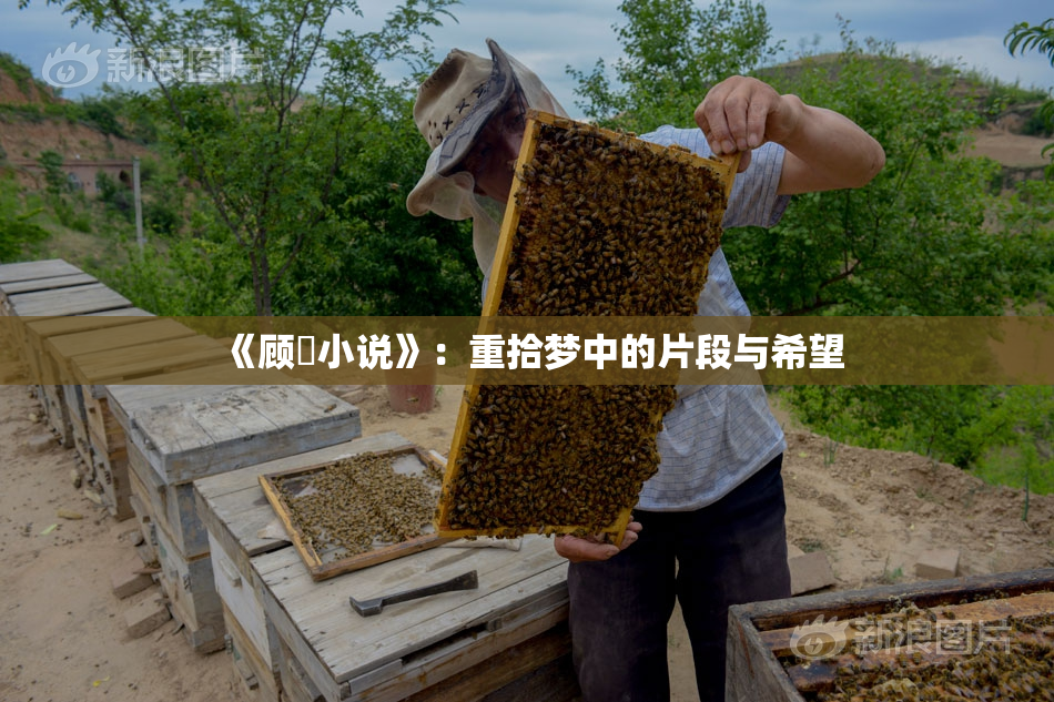 《顾嫚小说》：重拾梦中的片段与希望