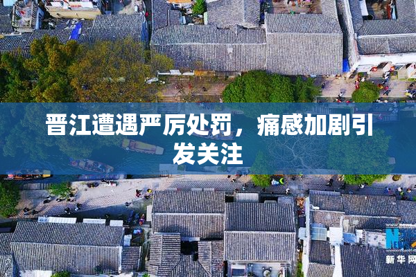 晋江遭遇严厉处罚，痛感加剧引发关注