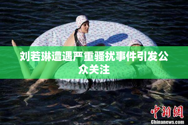 刘若琳遭遇严重骚扰事件引发公众关注