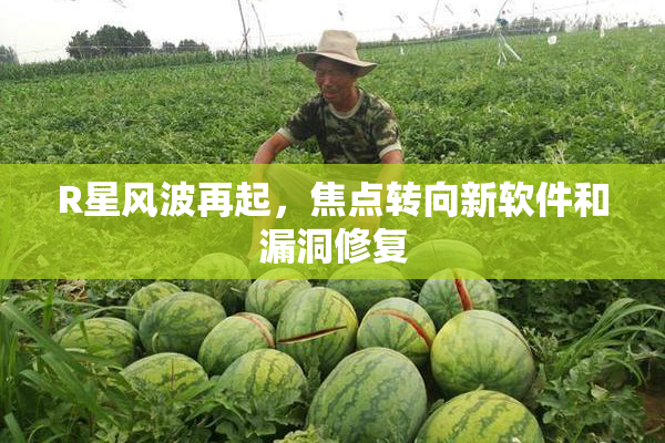 R星风波再起，焦点转向新软件和漏洞修复